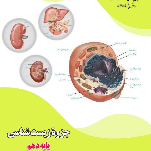 جزوه زیست شناسی پایه دهم